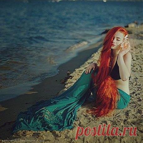 "Сделай жизнь вокруг себя красивой. И пусть каждый человек почувствует, что встреча с тобой — это дар."
(Ошо)