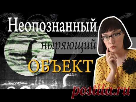 Всё, что вам нужно (и не нужно) знать о Лох-Несском чудовище