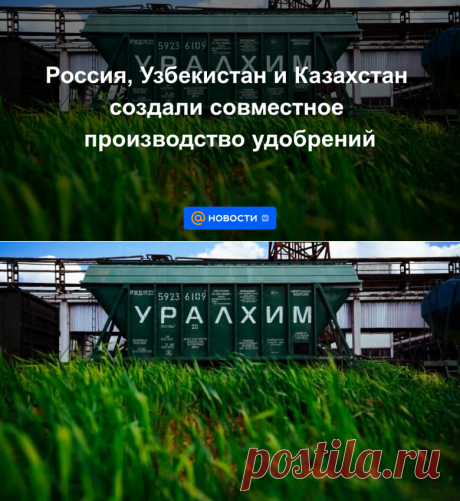 Россия, Узбекистан и Казахстан создали совместное производство удобрений - 17 июня 2022 | Новости Mail.ru