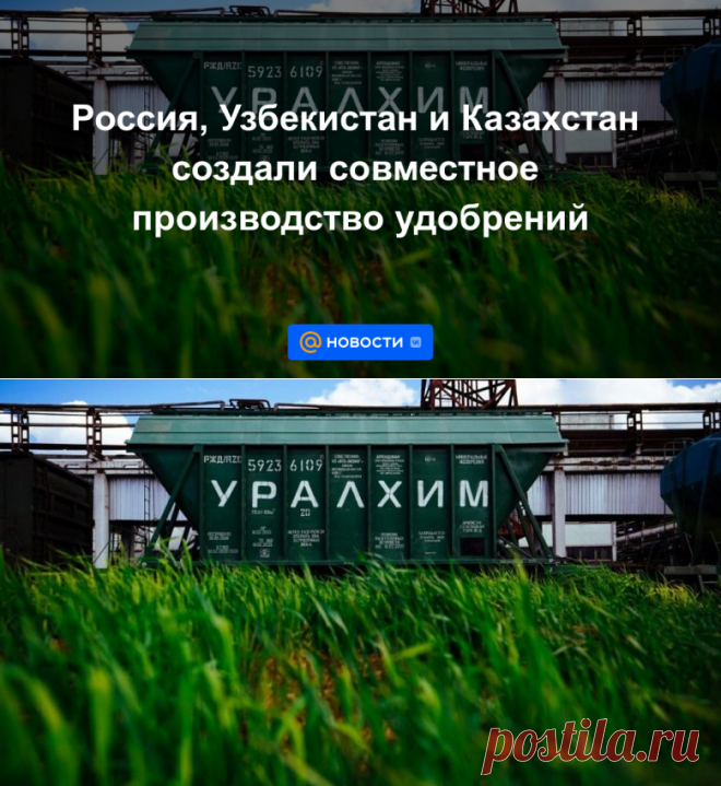 Россия, Узбекистан и Казахстан создали совместное производство удобрений - 17 июня 2022 | Новости Mail.ru