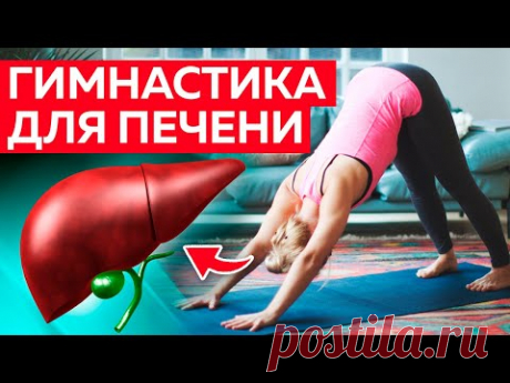Гимнастика для лечения печени