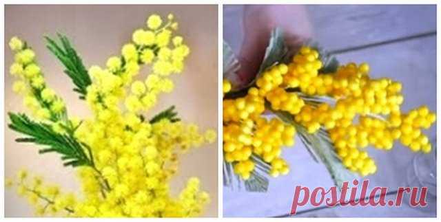 Мимоза своими руками для пасхального декора | razpetelka.ru