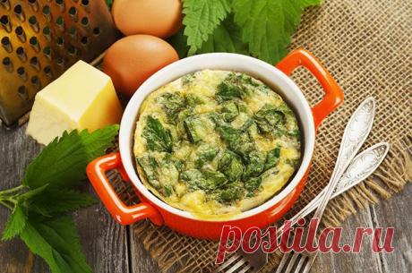 Вкуснейший омлет с крапивой // ОПТИМИСТ