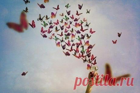 Ночь полнолуния
Осветило облако над горкой
Светом засыпающего солнца.
Всполохами страсти воссияла
Синева небесного колодца.
Разметались клочья небосвода
Пурпуром ажурного плетенья.
Ночь неслышным шагом воцарилась,
Огненно- дыша от вожделенья.