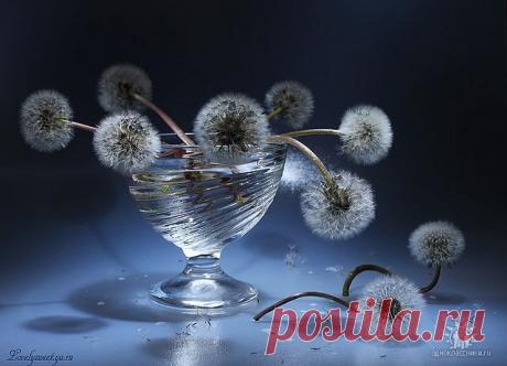 ✿*✿* ВЕРНИСАЖ *✿*✿
Ирина IRINA