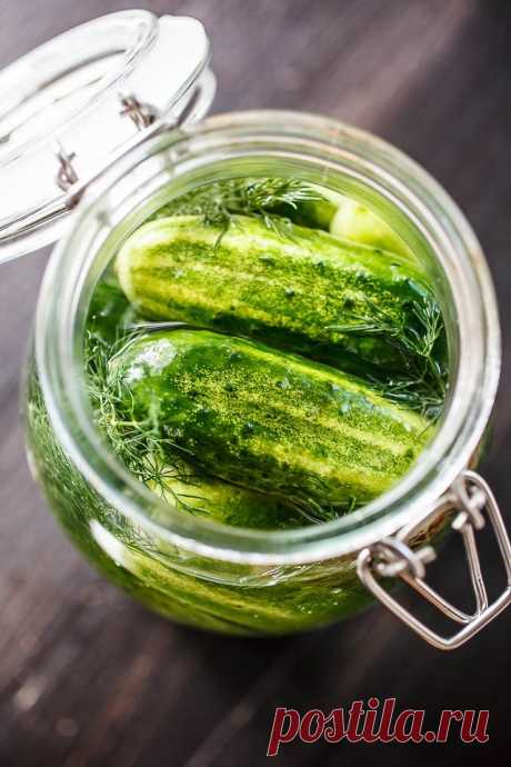Засолка огурцов без уксуса -
