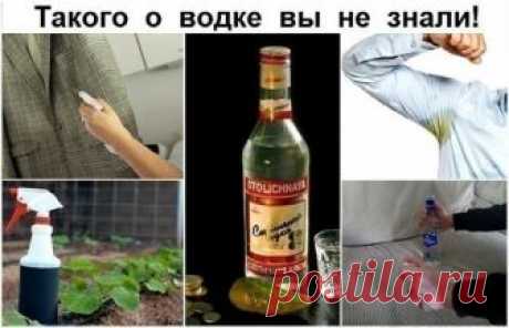 Такого о водке вы не знали!