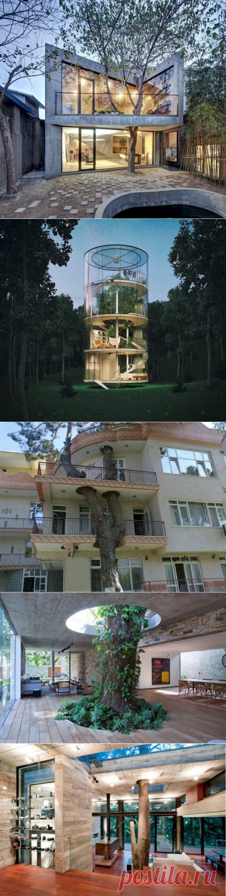 Потрясающие сооружения, построенные вокруг деревьев / Туристический спутник