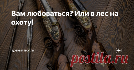 Вам любоваться? Или в лес на охоту! Красота.
Часто вижу в интернете в статьях про охотничье оружие, комментаторов которые, как в поговорке &quot;про болото и лягушку&quot; пытаются навязать всем свою точку зрения. И сильно обижаются вплоть до оскорблений, когда им &quot;мягко&quot; указывают на ошибки или конкретно суют головой в помои.  Я говорю про вечные споры обладателей импортного охотничьего оружия и обладателей отечественного охотничьего