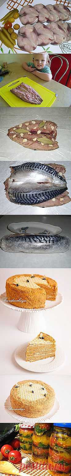 Рыбный рулет из скумбрии | Рецепты моей мамы и другие популярные материалы на Постила.ru - isachenko-1966@mail.ru - Почта Mail.Ru