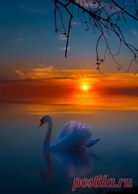 chimycat:
“coiour-my-world:
“A Dreamy Evening ~ Tore H.
” ”