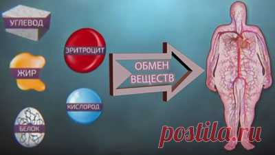 Почему нарушается обмен веществ. Признаки нарушения. Кто из нас не хочет иметь красивую фигуру без всяких лишних выпуклостей и «спасательного круга» на талии? Только вот почему-то, ваша подруга может есть пирожные, конфеты, булочки, жареную картошечку без ограничений и ни сколько не поправляется, а вы полнеете даже от взгляда на эти вкусности. На вопрос: «Почему?», довольно часто слышим в ответ, мол, причина в том, что нарушается обмен веществ. Словосочетание простое, но малопонятное для многих.