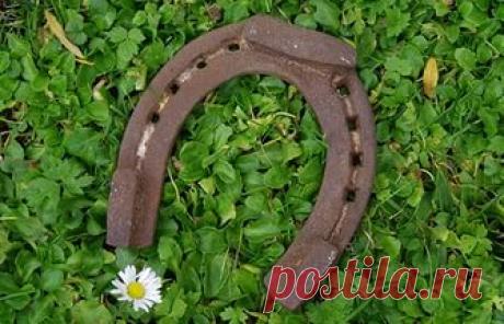 ТАЛИСМАН НА УДАЧУ: успех в торговом бизнесе