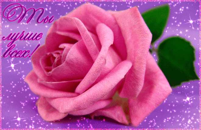 Музыкальная открытка "Роза для тебя!" | В гостях у тамады!