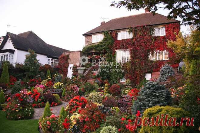 Кустарники для сада декоративные, фото в ландшафте Декоративные кустарники для сада - описание, правила ухода. Фото цветущего сада в ландшафтном дизайне. Лиственные и вечнозеленые кусты для сада с фото