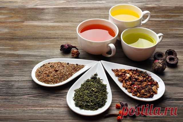 Глиняная посуда и долгая выдержка. Ошибки, которые убивают вкус чая | Мастер-классы | Кухня | Аргументы и Факты