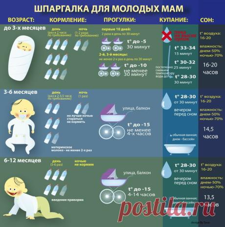 Шпаргалка для молодых мам