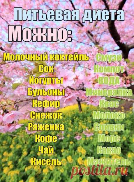Питьевая диета
