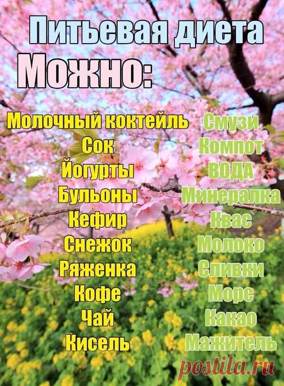 Питьевая диета