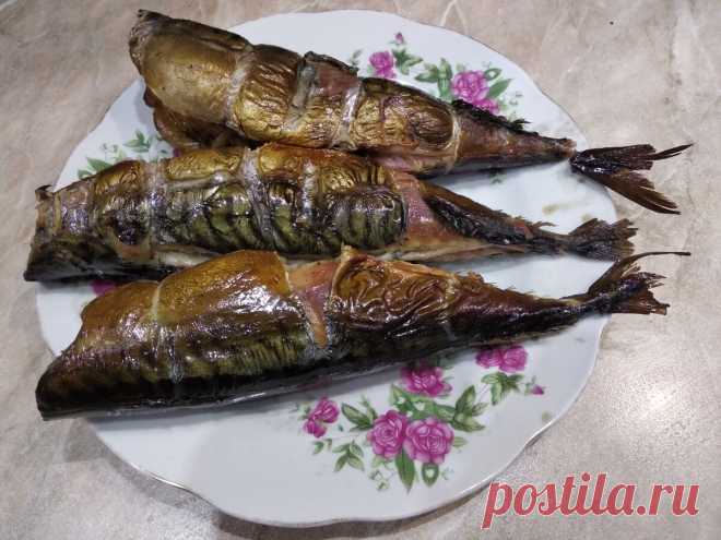 МОЯ СКУМБРИЯ ГОРЯЧЕГО КОПЧЕНИЯ, ЗАХОДИТЕ!!! | Мастер на все руки | Яндекс Дзен