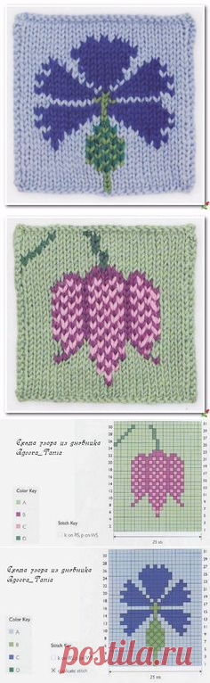 Pinterest: descubre ideas creativas y guárdalas