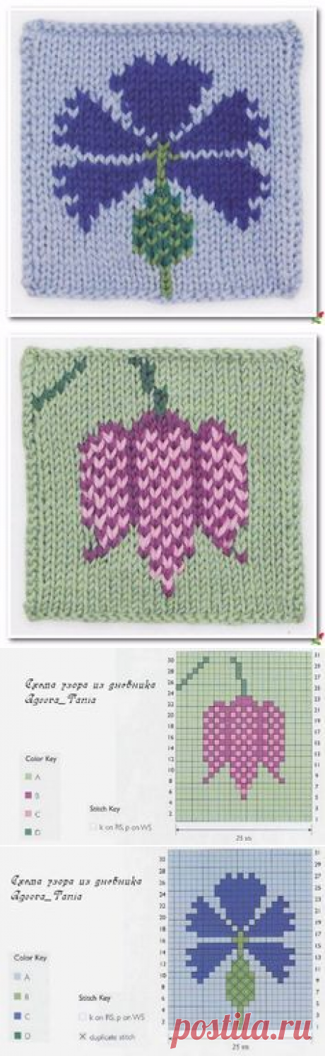 Pinterest: descubre ideas creativas y guárdalas