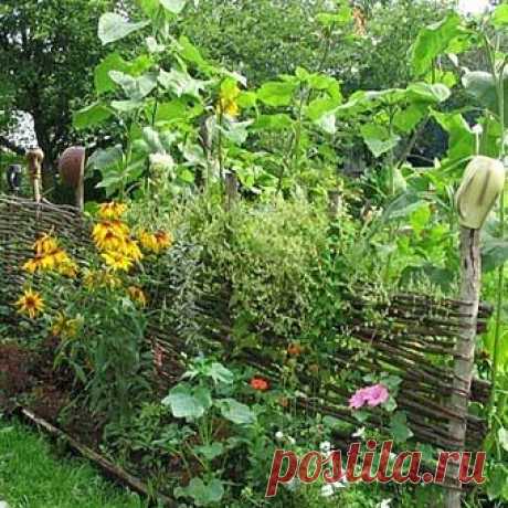 Плетень для дачи своими руками: традиции и современный дизайн - Учимся Делать Все Сами