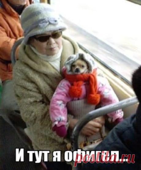 Бывает и такое))