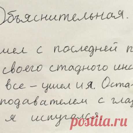 Топ-10 анекдотов для поднятия настроения - МирТесен