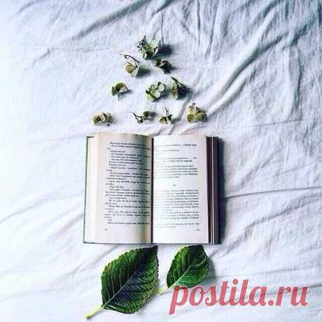 10 современных книг, с которыми забудешь про сон  1. Халед Хоссейни, “Бегущий за ветром”  2. Карлос Руис Сафон, “Тень ветра”  3. Мариам Петросян, “Дом, в котором…”  4. Маркус Зузак, “Книжный вор”  5. Кадзуо Исигуро, “Не отпускай меня”  6. Джордж Мартин, “Песнь льда и пламени. Игра престолов”  7. Дэвид Митчелл, “Облачный атлас”  8. Иэн Макьюэн, “Искупление”  9. Гиллиан Флинн, “Исчезнувшая”  10. Нил Гейман, “Американские боги”
