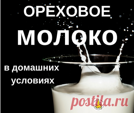 Молоко из орехов: рецепт и советы как приготовить - Смузи Мама Как быстро приготовить молоко из орехов: простой рецепт и советы для домашних условий. Что нужно знать для грамотного приготовления орехового молока