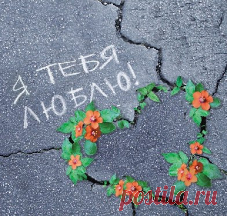 Доброе утро! Отличного настроения и весенних радостей!!!
©