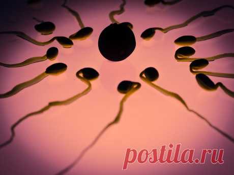 Was tun, wenn dieses Schema nicht funktioniert oder fehlschlägt? Die häufigste Methode ist die IVF.