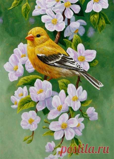 cute beautiful things for dp – Google Поиск