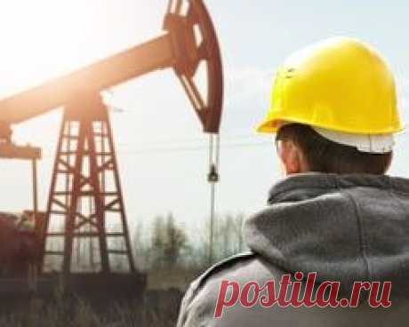 Удивительное о нефти: из нее делают игрушки, лекарства и еду :: Экономика :: РосБизнесКонсалтинг