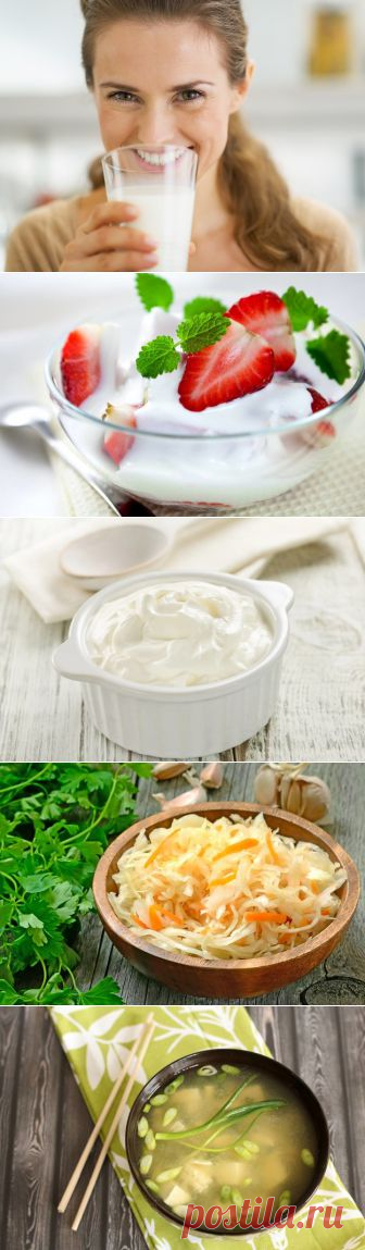 Что такое пробиотики и где их найти: 7 лучших источников | ВСЕГДА В ФОРМЕ!