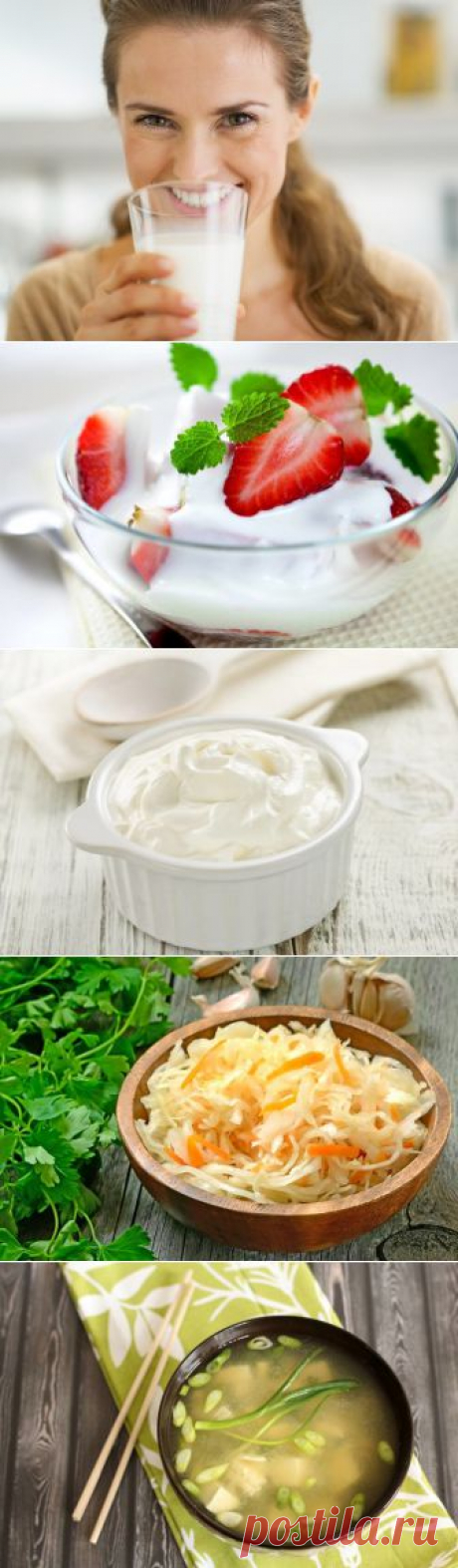 Что такое пробиотики и где их найти: 7 лучших источников | ВСЕГДА В ФОРМЕ!