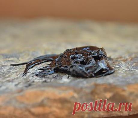 Отзыв о Лекарственном средстве "Мумие" | Как вылечить артроз.