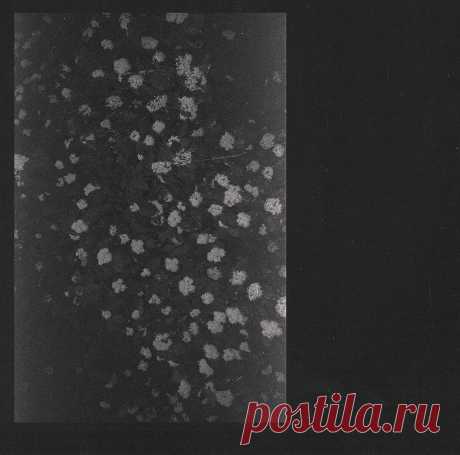 Motorama - Poverty - Культовая атмосфера | Soulplay Radio Blog - Музыкальный Блог