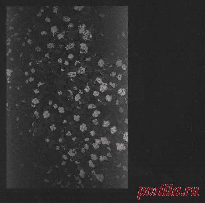 Motorama - Poverty - Культовая атмосфера | Soulplay Radio Blog - Музыкальный Блог
