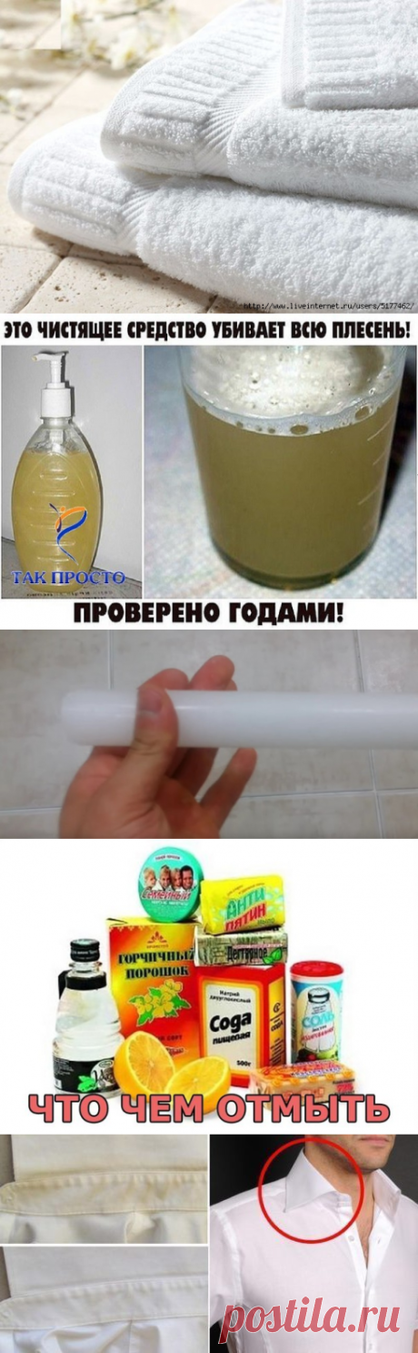 Дневник kudryashechka