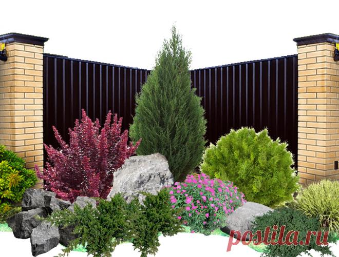 Что посадить в угол забора: схема клумбы | КЛУМБА | Яндекс Дзен