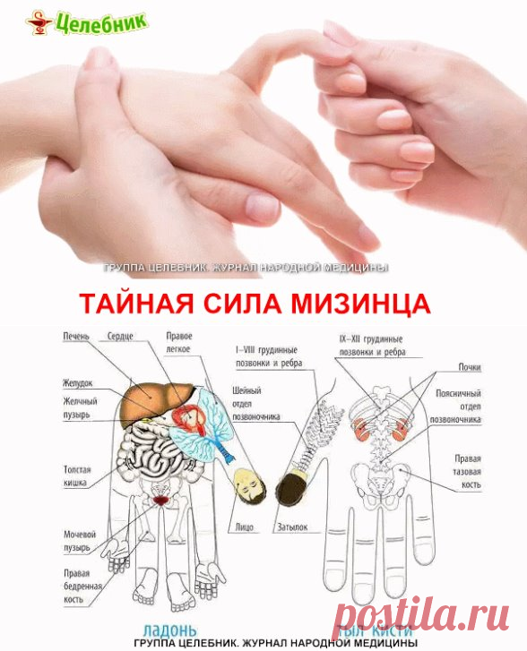 (43) Одноклассники