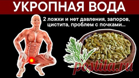 УКРОПНАЯ ВОДА. 2 ложки и нет давления, запоров, цистита, проблем с почками...