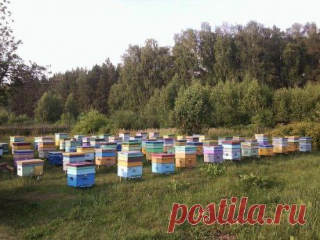 Одноклассники