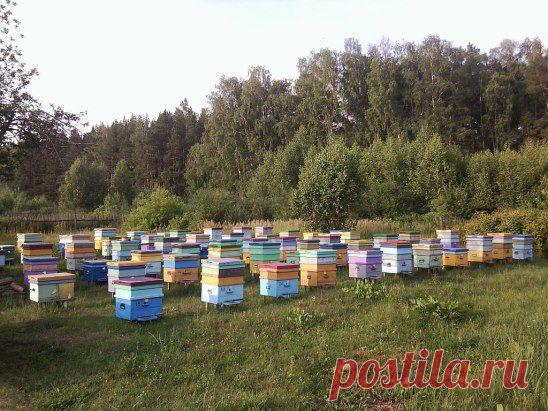 Одноклассники