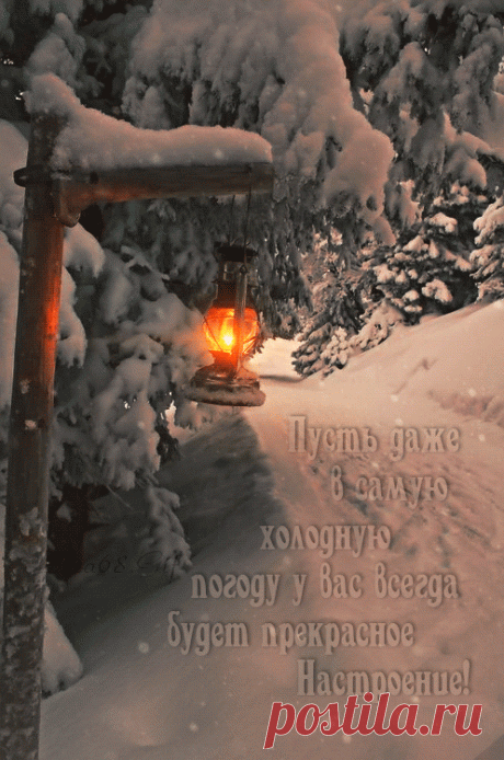 0_1b7fb4_bb48e730_orig (497×750)