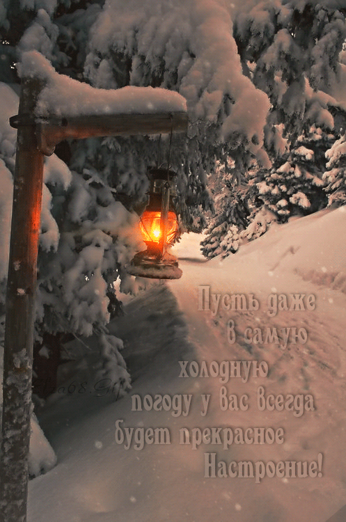 0_1b7fb4_bb48e730_orig (497×750)