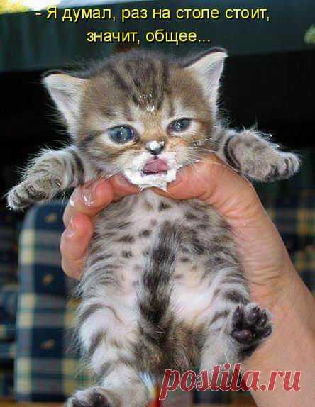 Мысли вслух. Суперподборка!