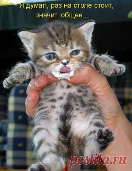 Мысли вслух. Суперподборка!